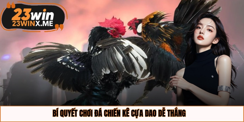 Bí quyết chơi đá chiến kê cựa dao dễ thắng