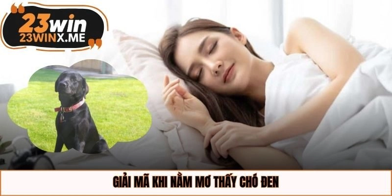 Giải mã khi nằm mơ thấy chó đen