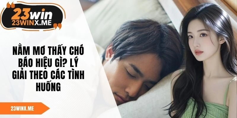 Nằm Mơ Thấy Chó Báo Hiệu Gì? Lý Giải Theo Các Tình Huống