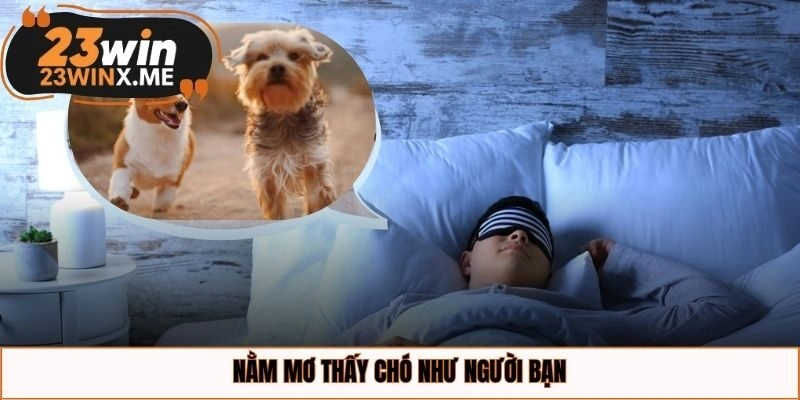 Nằm mơ thấy chó như người bạn