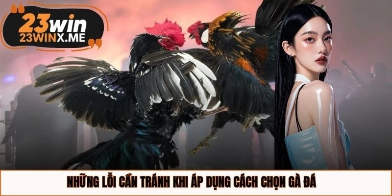 Những lỗi cần tránh khi áp dụng cách chọn gà đá