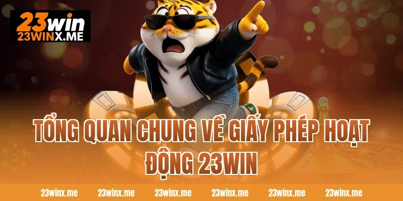 Tổng quan chung về giấy phép hoạt động 23WIN